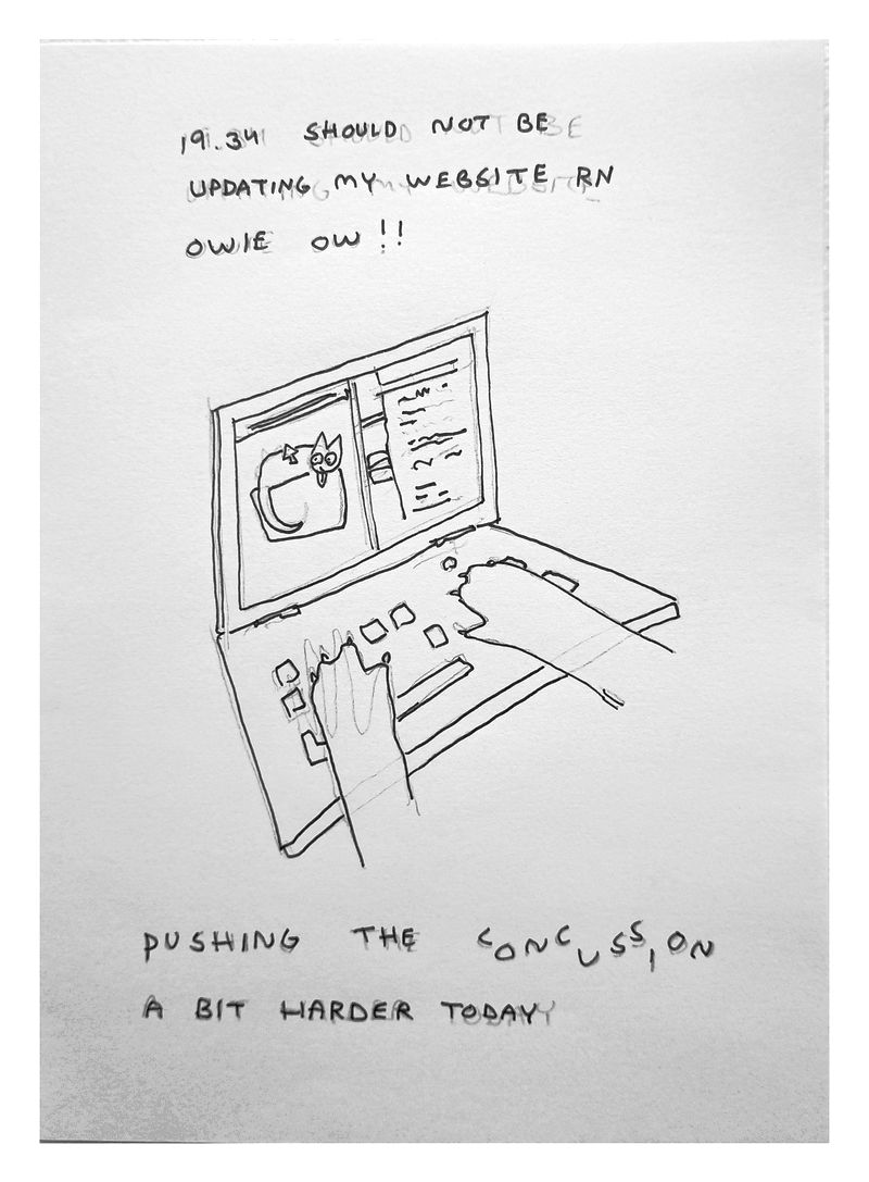 Text reads: ''19.34 I should not be updating my website rnowie ow !!'. My two paws are tapping away at a laptop, my website visible on screen. Text continues: 'pushing the concussion a bit harder today'
