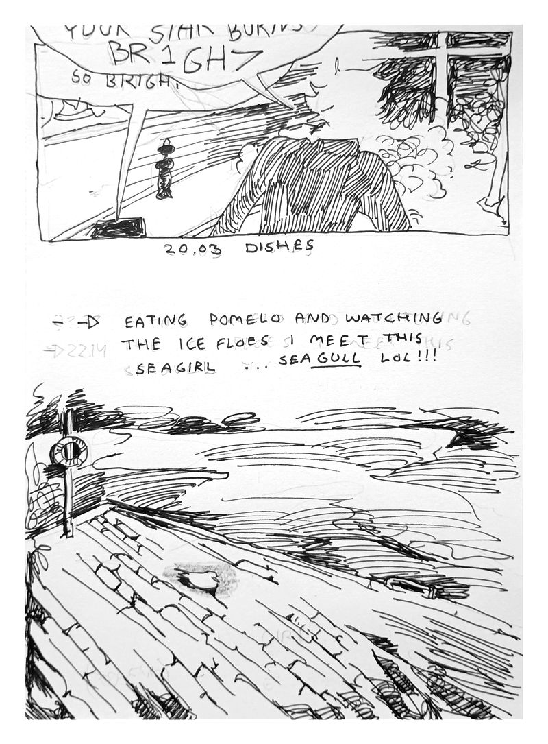 I do dishes while singing along to Charlie XCX's 'So i'. Text reads: '20.03 Dishes --> Eating pomelo and watching the ice floes I meet this seagirl ... seaGULL LOL!!!'. The seagull is on the ground near the waterfront, surrounded by a grey haze. It's looking pretty good.