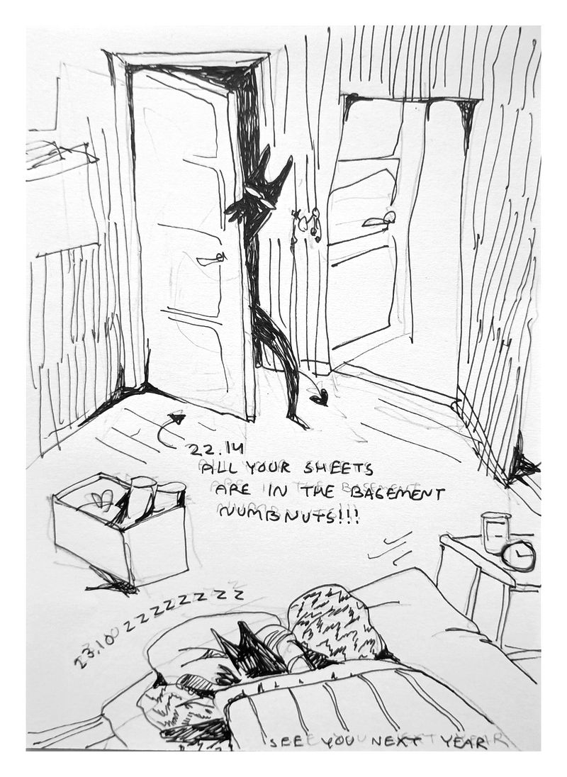 Devil (me) sneaking into the apartment, with the text: '22.14 All your sheets are in the basement numbnuts!!!'. Underneath devil me is crashed out on the bed. Text reads: '23.10 zzzzzzzz See you next year'.
