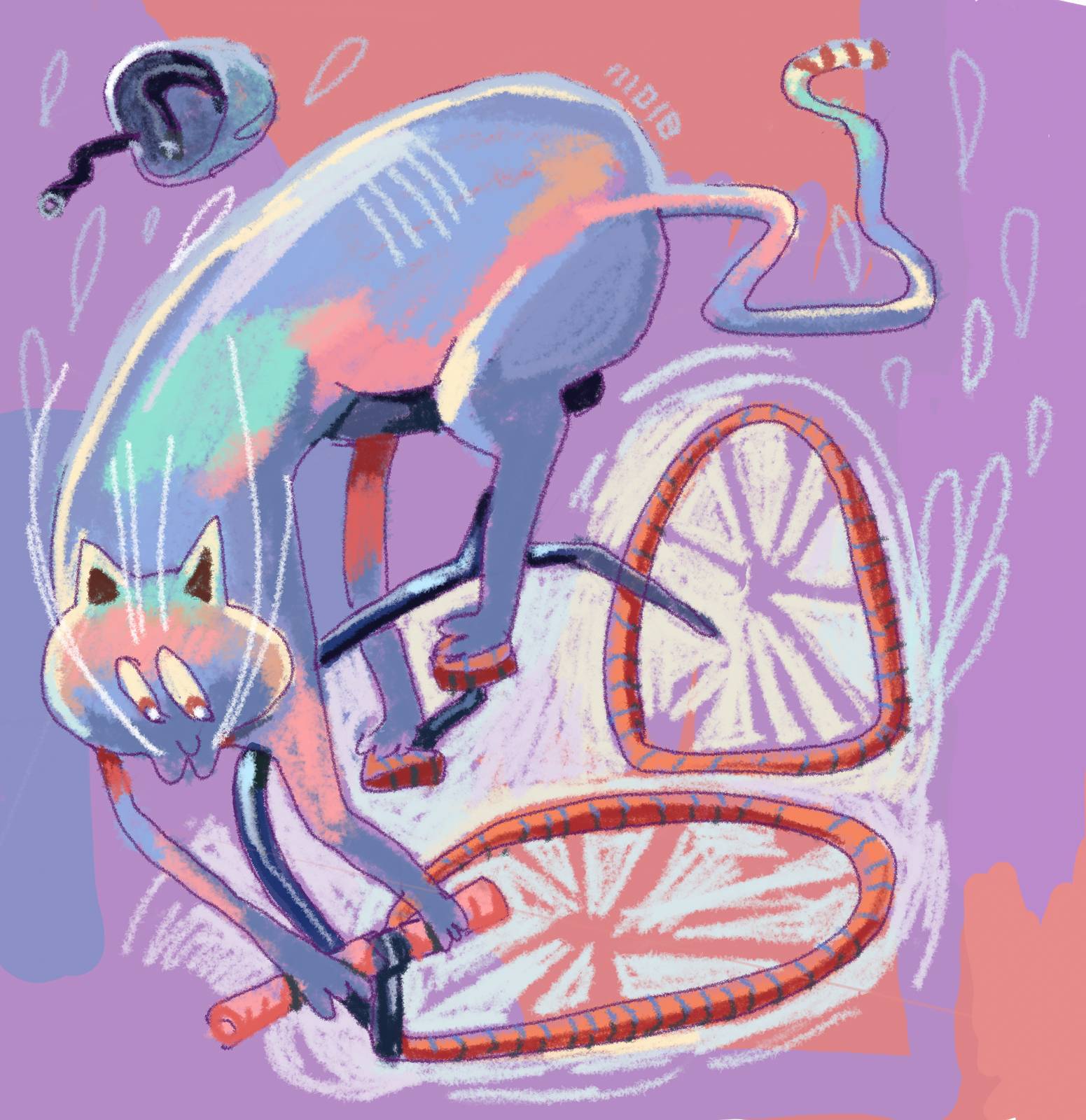 A long cat is biking wildly. It might not truly have the bike under control