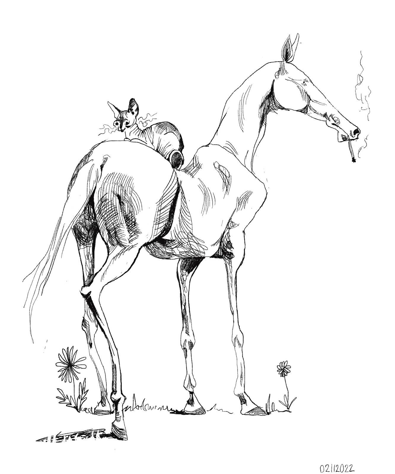 Line drawing of a horse with no mane, an akhal teke, the nudists of horses. It is facing away from the viewer, having a smoke. On its back, a dark sphynx cat with crumpled and curly whiskers loafs. They are the nudist club, and they are on a day trip