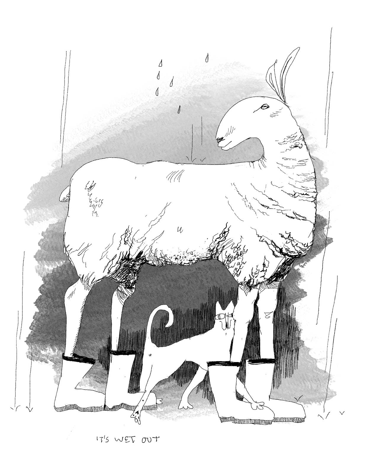 Line drawing of a border leichester sheep, seen from the side. It is wearing rubber boots, and between its legs a cat snakes around. It is raining