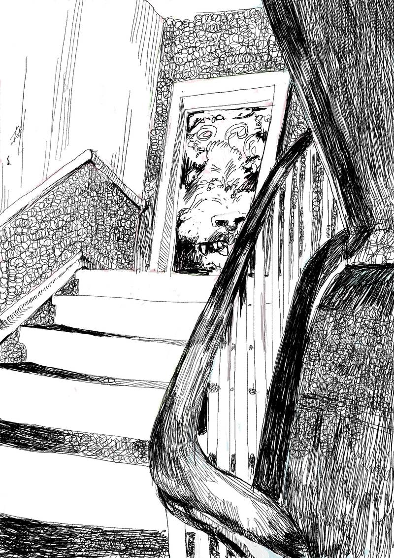 Black and white line drawing from inside a stairway, looking up at the next landing where a huge poodle face is growling out of the doorway