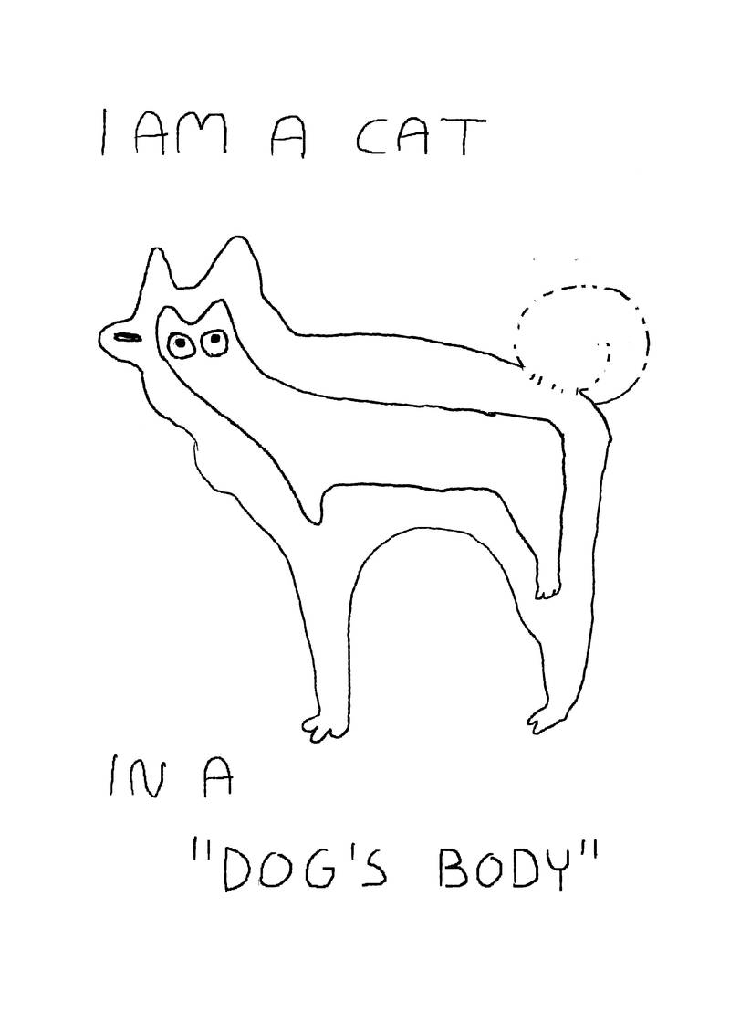 'i am a cat in a 'dog's body'', cat inside dog body