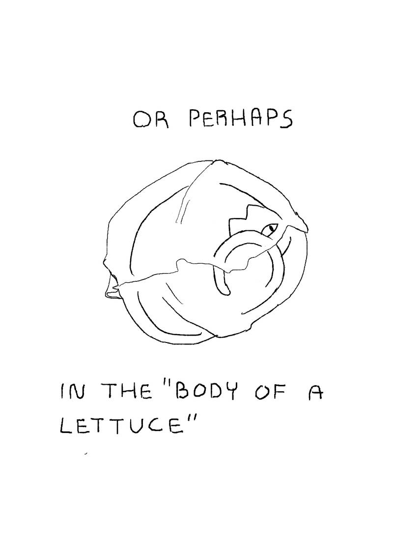 'or perhaps in the 'body of a lettuce', cat rolled up in lettuce