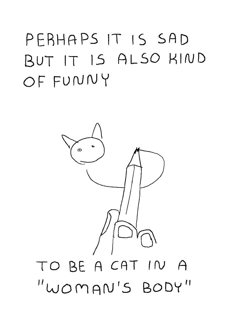 'Perhaps it is sad but it is also kind of funny, to be a cat in a 'woman's body', POV you are drawing a cat