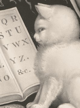 Kittie's lesson, lithograph, Currier & Ives, 1877 Kitten glancing away from its book to send you a mischievous look.