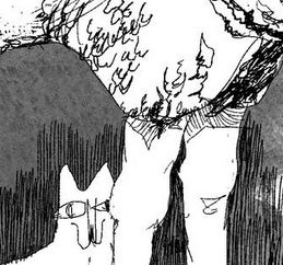 cat head and sheep's wool