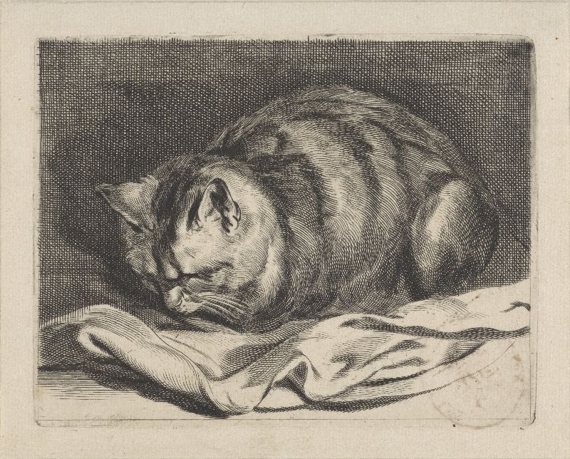 engraving of a cat sleeping loaf-style